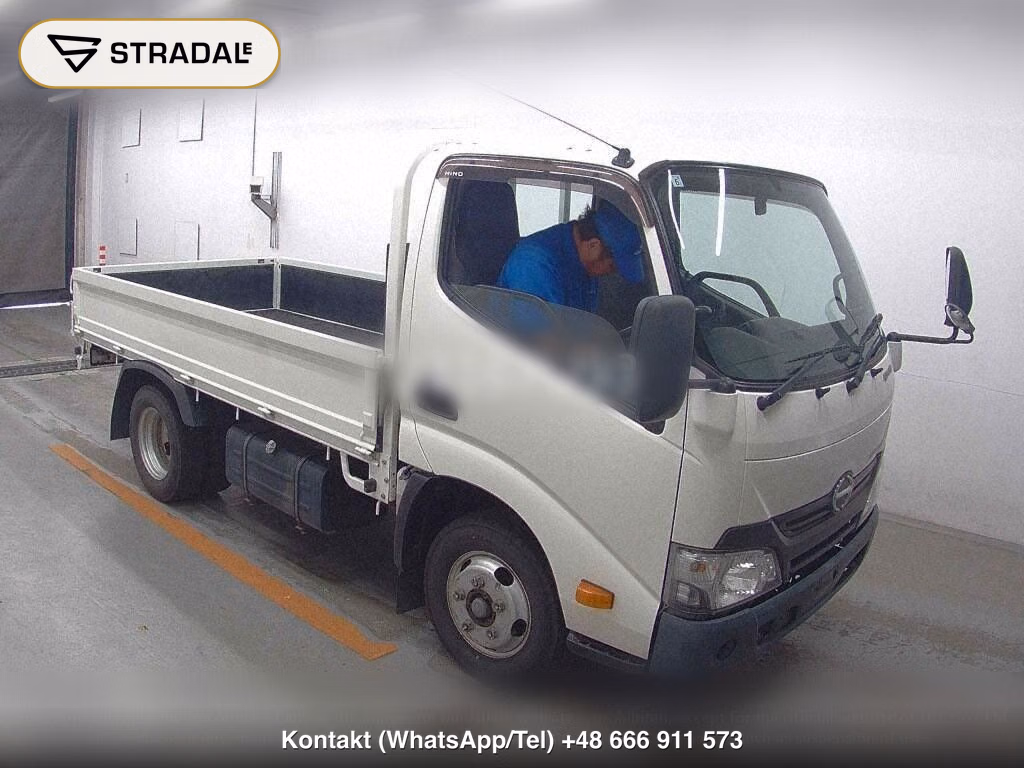 HINO DUTRO 2D 2019, aukcja z Japonii, zdjęcie 1