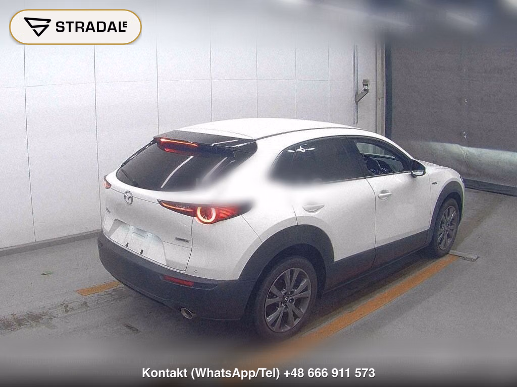 MAZDA CX-30 X PROACTIVE TOURING SELECTION, miniaturka 6