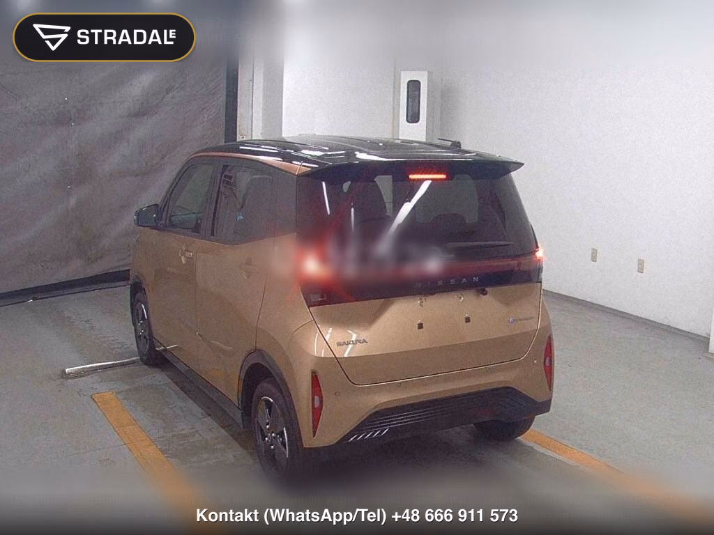 NISSAN SAKURA X, miniaturka 3