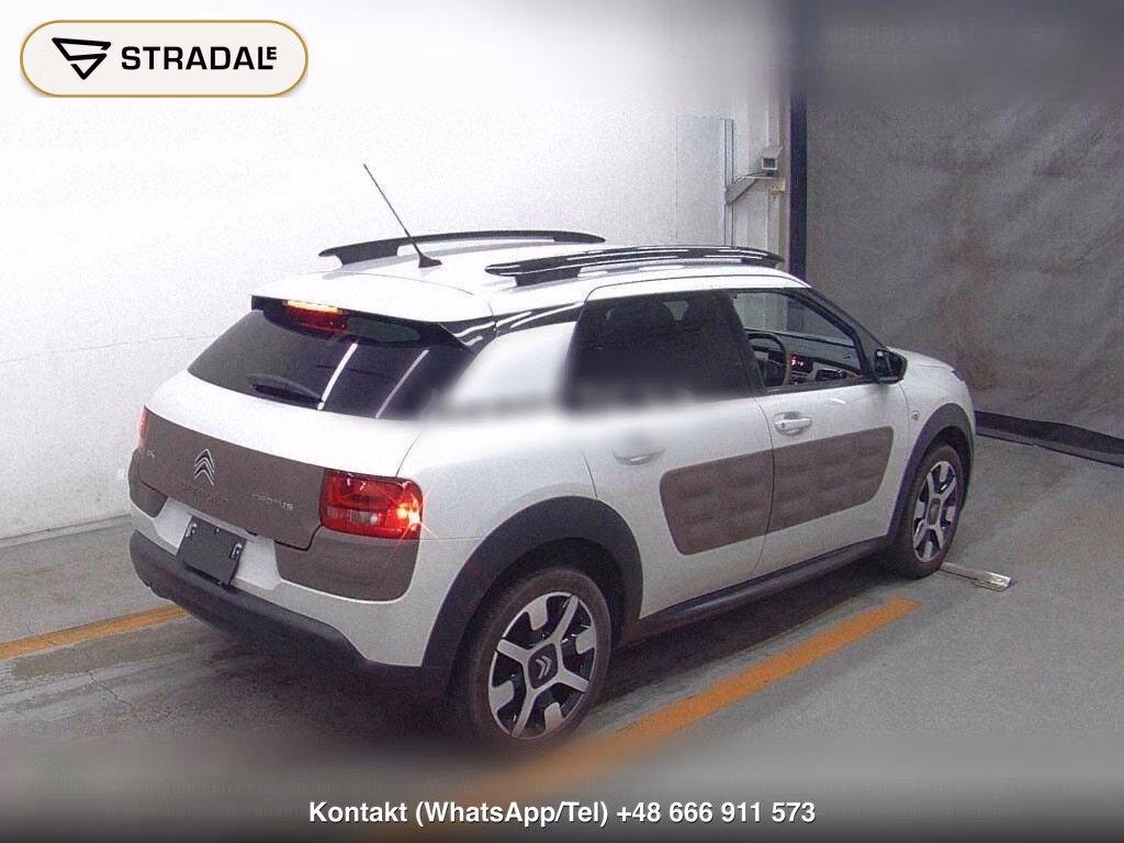 CITROEN C4 CACTUS BASE GRADE, miniaturka 5