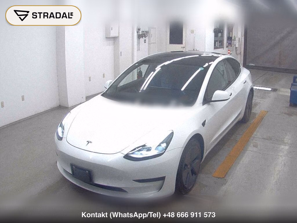 TESLA MODEL 3 STANDARD RANGE PLUS, miniaturka 5