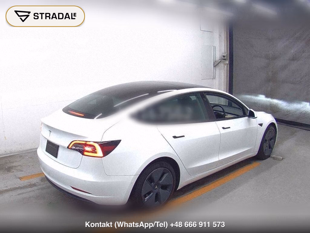 TESLA MODEL 3 STANDARD RANGE PLUS, miniaturka 6