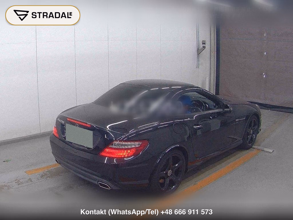 MERCEDES BENZ SLK SLK350 BLUEEFFICIENCY AMG SPORTS PACKAGE, miniaturka 6