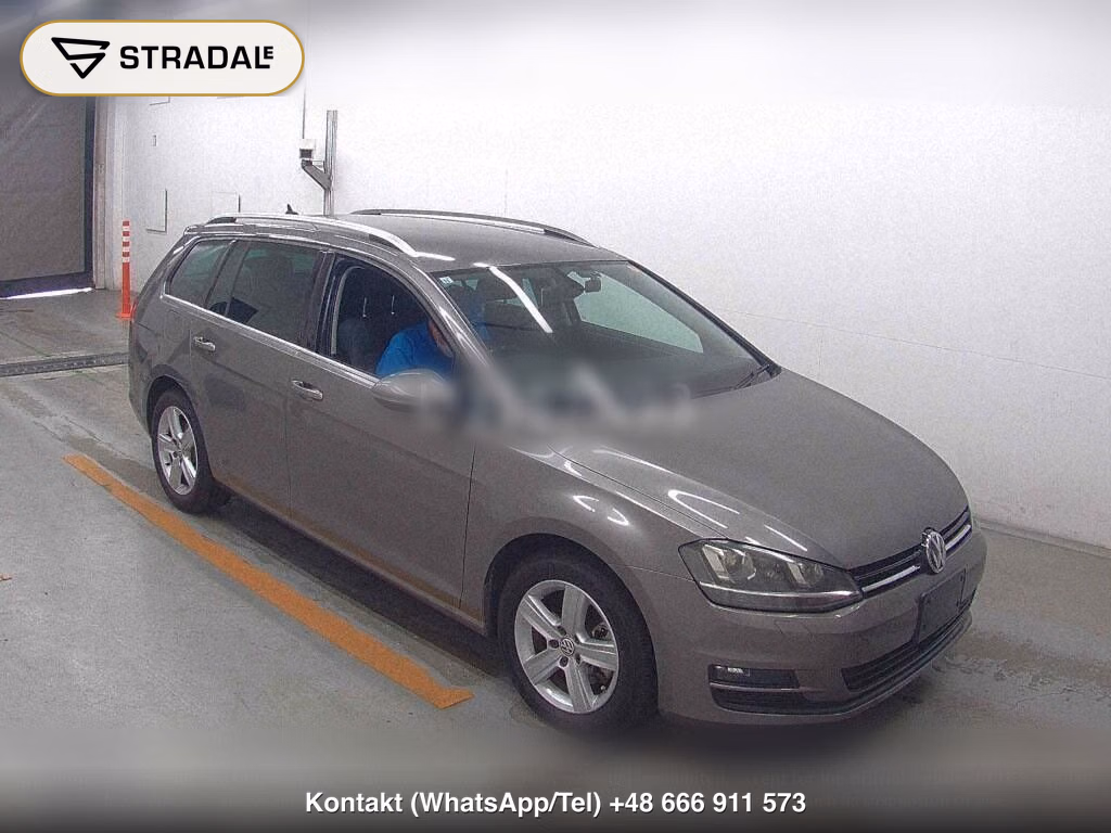 VOLKSWAGEN GOLF VARIANT ANNIVERSARY EDITION, miniaturka 2