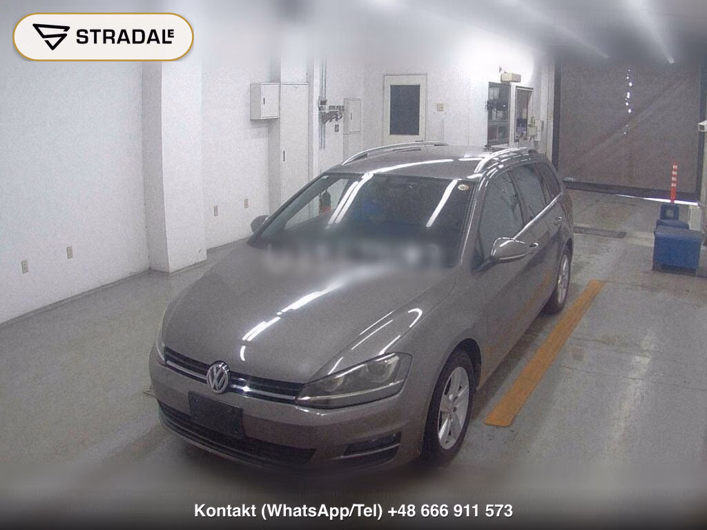 VOLKSWAGEN GOLF VARIANT ANNIVERSARY EDITION, miniaturka 5