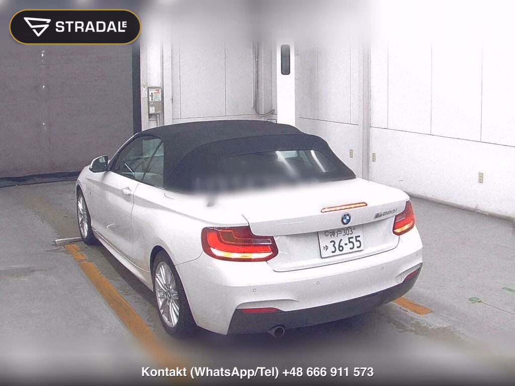 BMW 2 SERIES OP 220I CABRIOLET SPORT, miniaturka 3