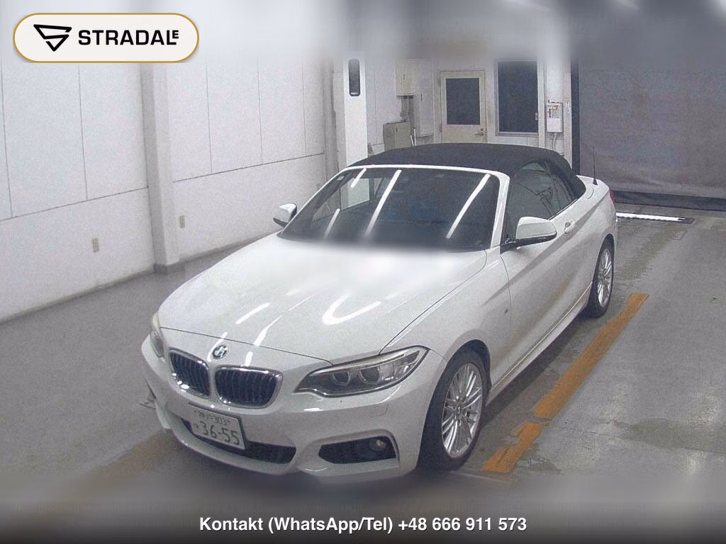 BMW 2 SERIES OP 220I CABRIOLET SPORT, miniaturka 5