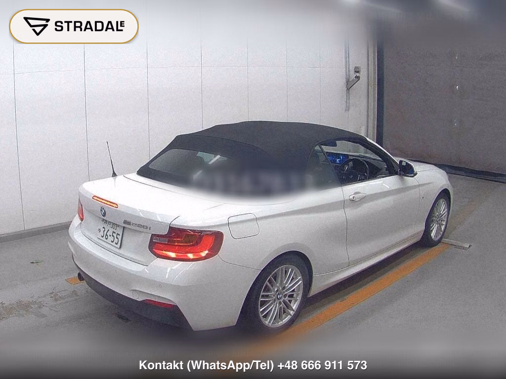 BMW 2 SERIES OP 220I CABRIOLET SPORT, miniaturka 6