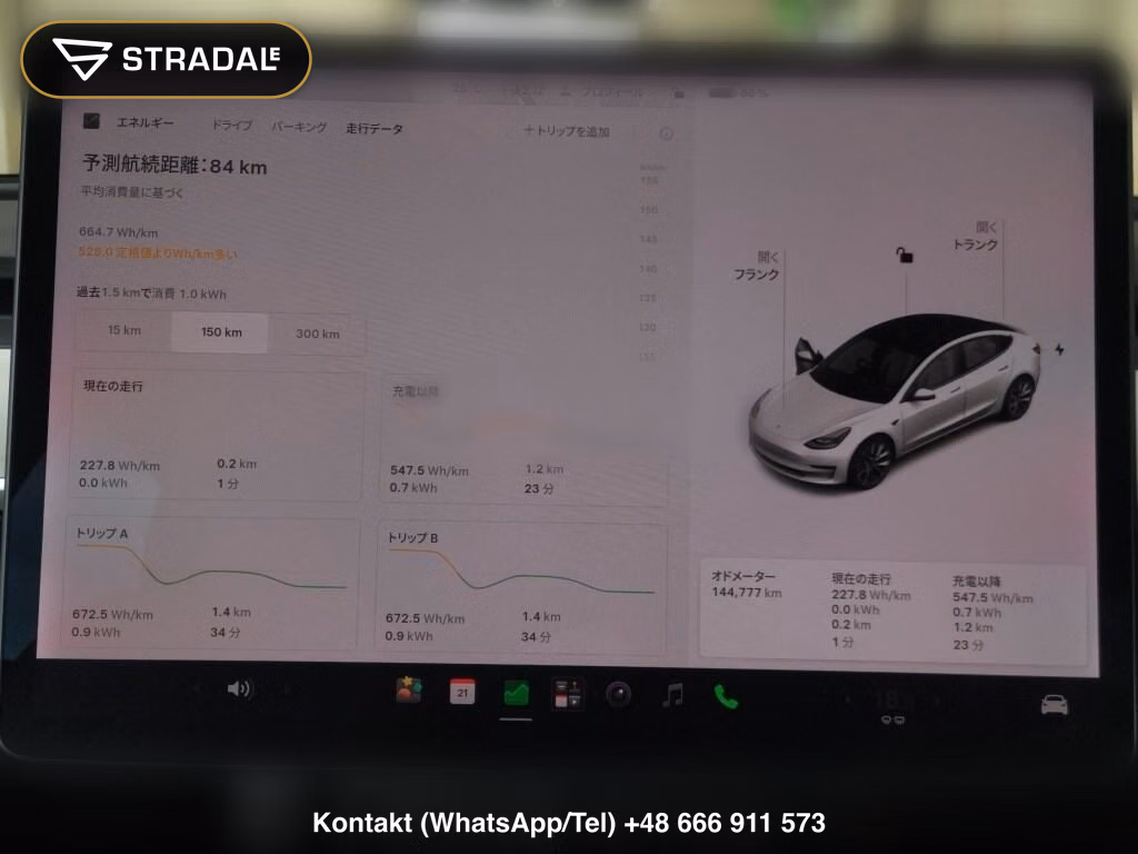 TESLA MODEL 3 4WD LONG RANGE, miniaturka 7