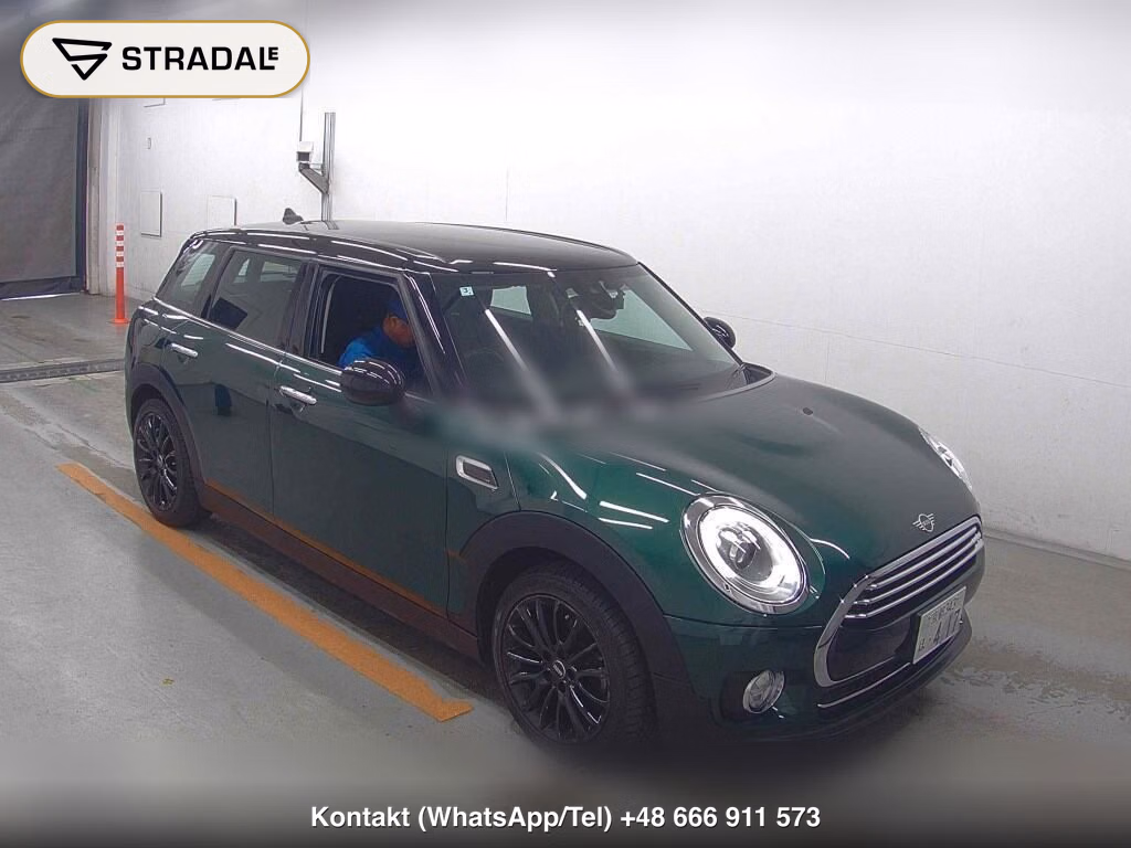 MINI MINI WG OTHERS 2018, aukcja z Japonii, zdjęcie 1