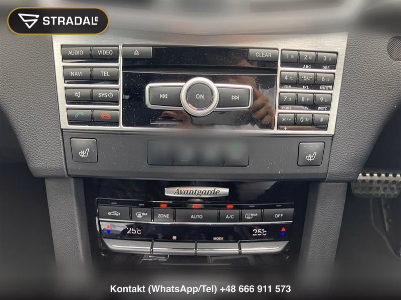 MERCEDES BENZ E-CLASS STATIONWAGON E250 BLUEEFFICIENCY STATIONWAGON AVANTGA, miniaturka 8