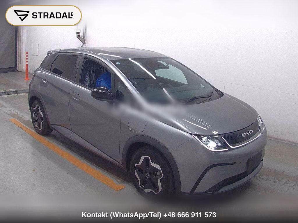 BYD DOLPHIN BASE GRADE, miniaturka 2