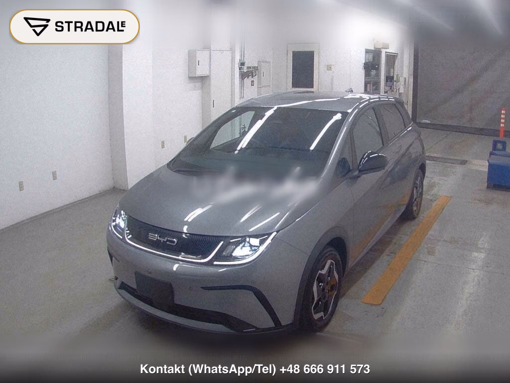 BYD DOLPHIN BASE GRADE, miniaturka 5