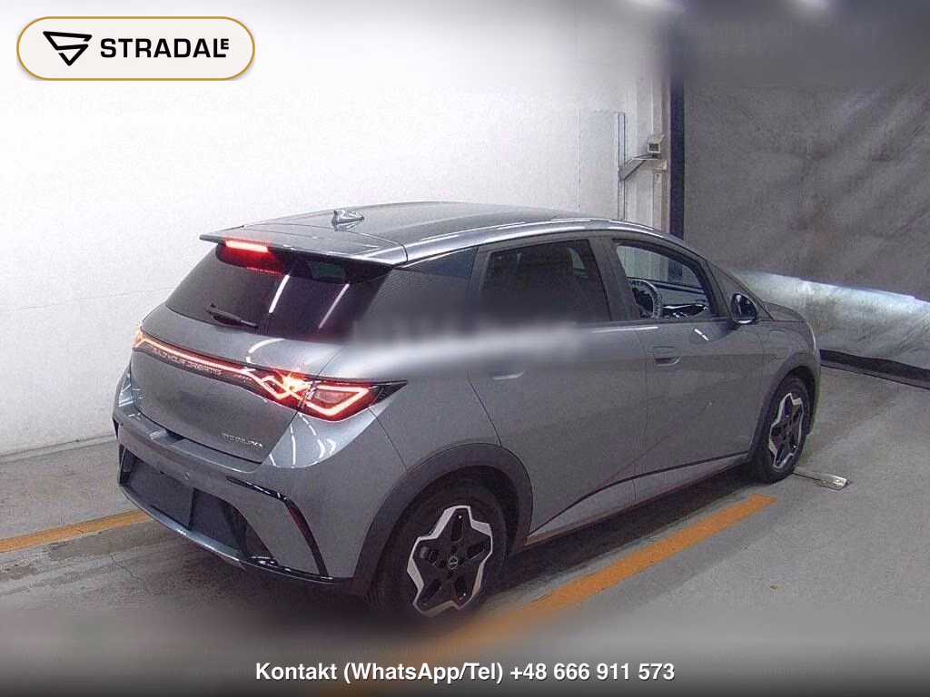BYD DOLPHIN BASE GRADE, miniaturka 6