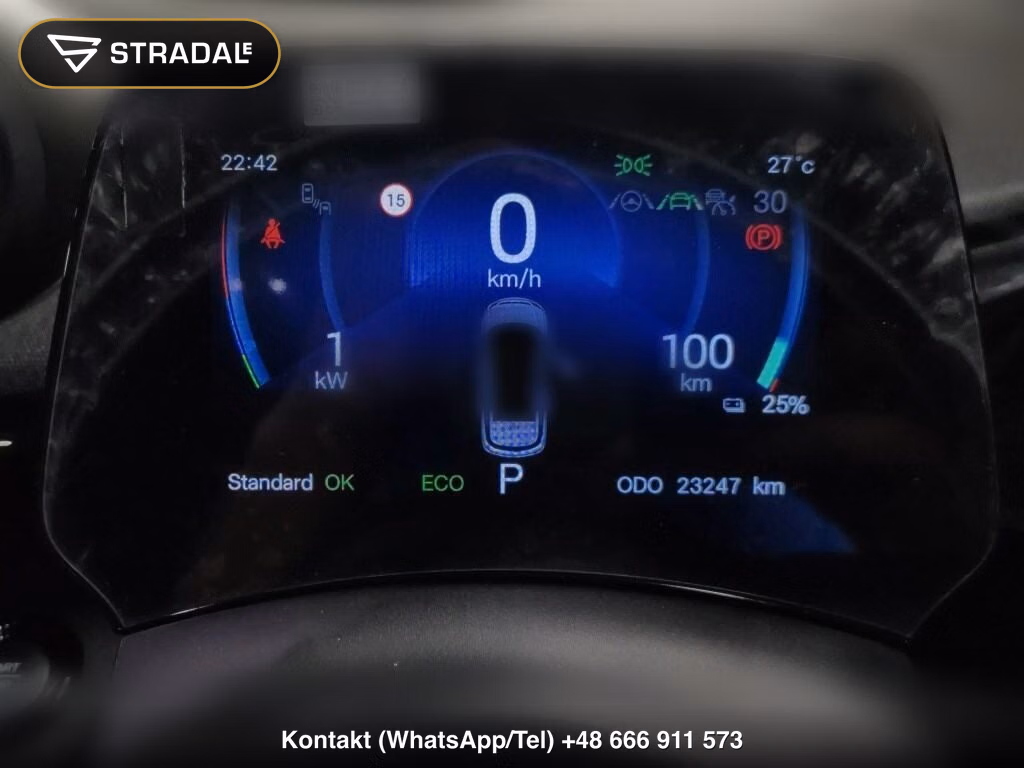 BYD DOLPHIN BASE GRADE, miniaturka 7