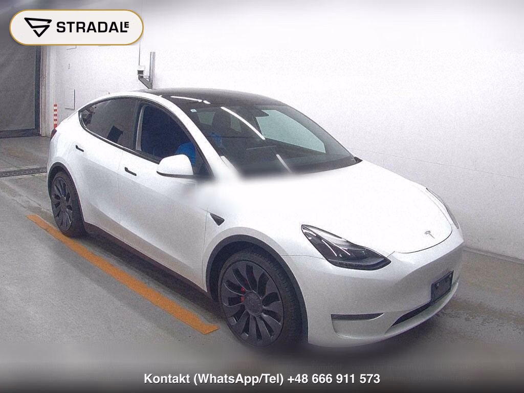 TESLA MODEL Y 4WD PERFORMANCE, miniaturka 2