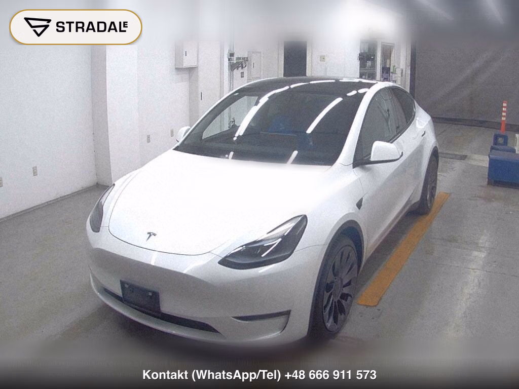 TESLA MODEL Y 4WD PERFORMANCE, miniaturka 5