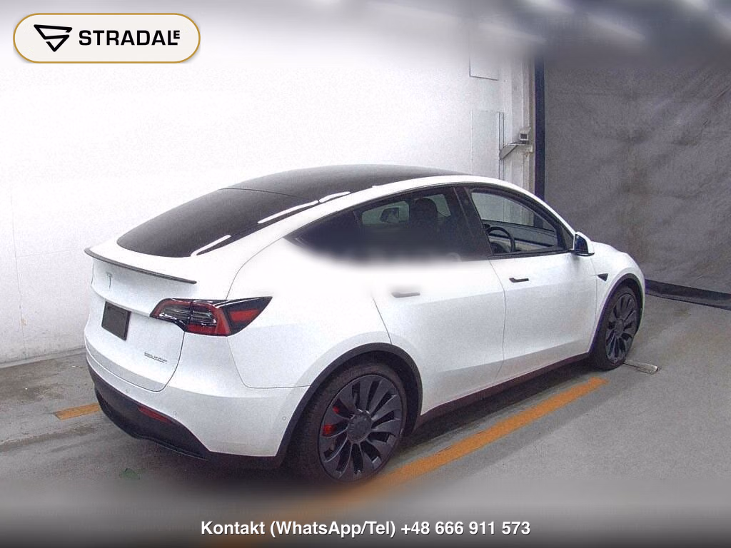 TESLA MODEL Y 4WD PERFORMANCE, miniaturka 6