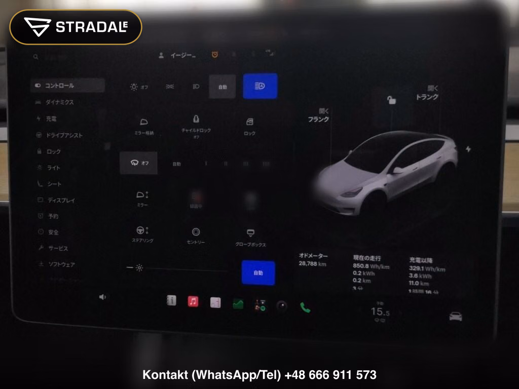 TESLA MODEL Y 4WD PERFORMANCE, miniaturka 7