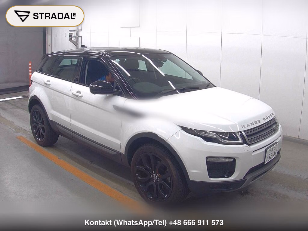 LAND ROVER RANGE ROVER EVOQUE 4WD 2019, aukcja z Japonii, zdjęcie 1