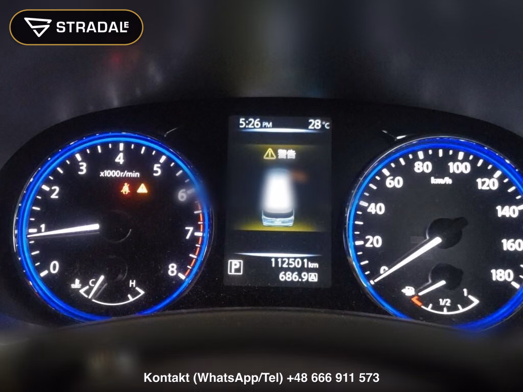 NISSAN ELGRAND 5D 250 HIGHWAY STAR, miniaturka 7