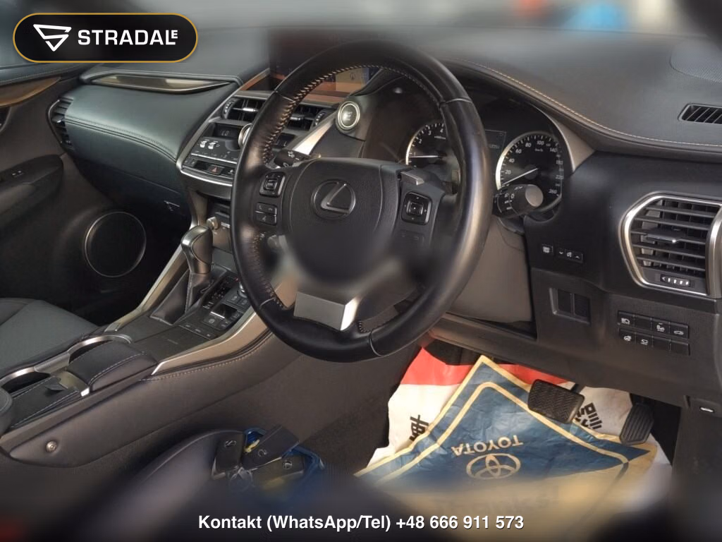 LEXUS NX NX300 SPECIAL EDITION SPICE AND CHIC, miniaturka 3