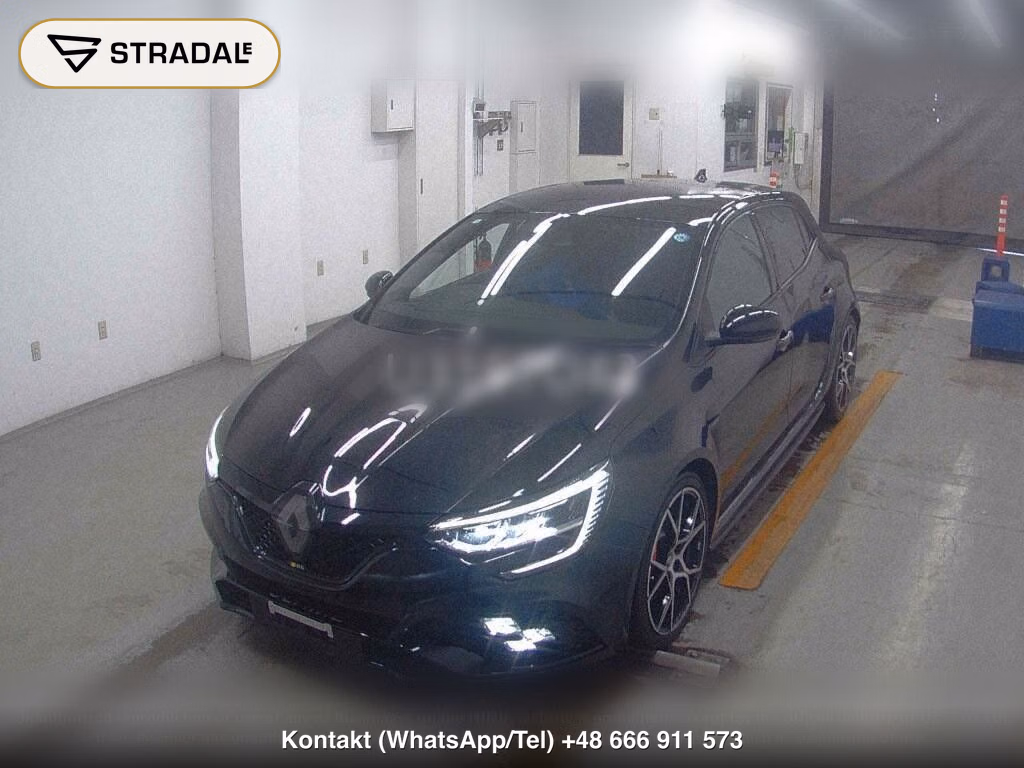 RENAULT MEGANE 5D R.S. ULTIME, miniaturka 5