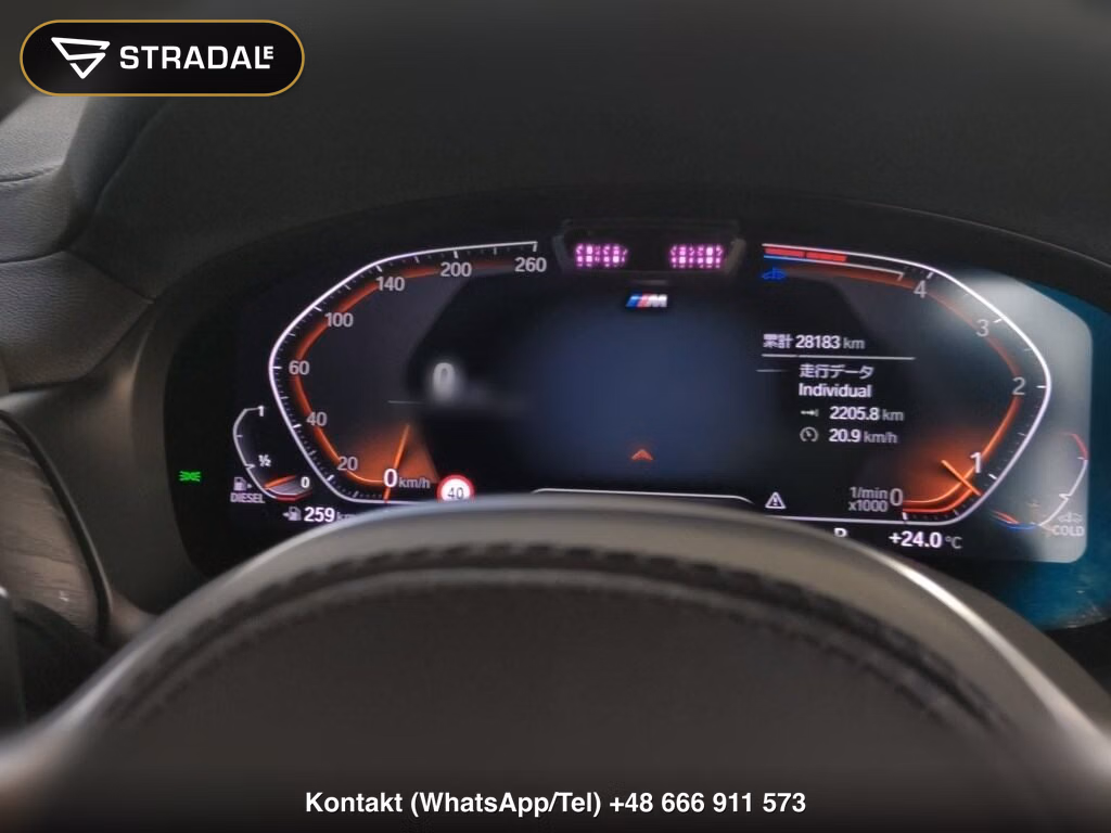 BMW X4 4WD XDRIVE 20D M-SPORT, miniaturka 7