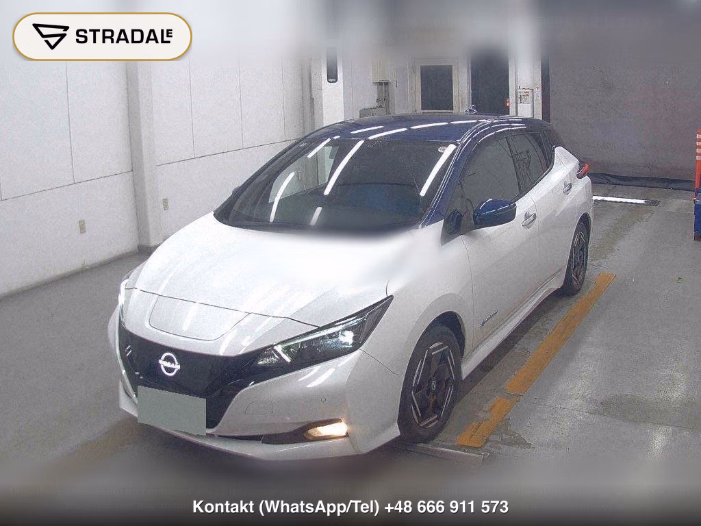NISSAN LEAF X, miniaturka 5