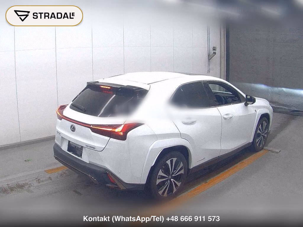 LEXUS UX UX250H F SPORT STYLE BLUE, miniaturka 6