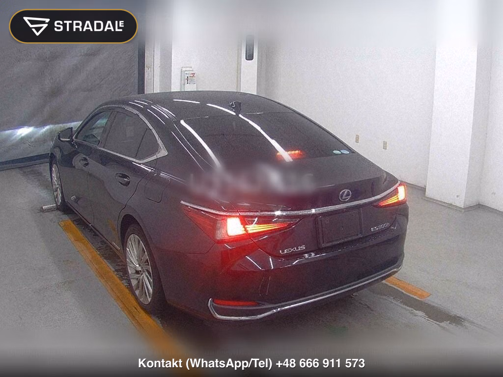 LEXUS ES ES300H VERSION L, miniaturka 3