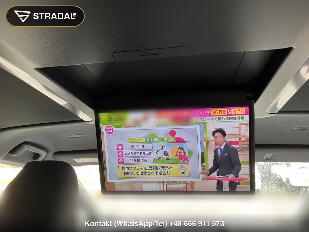 TOYOTA ALPHARD Z, miniaturka 12