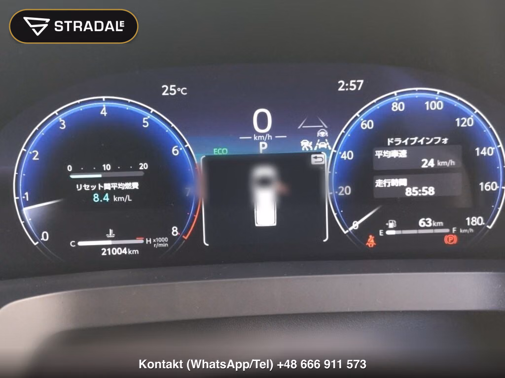TOYOTA ALPHARD Z, miniaturka 7
