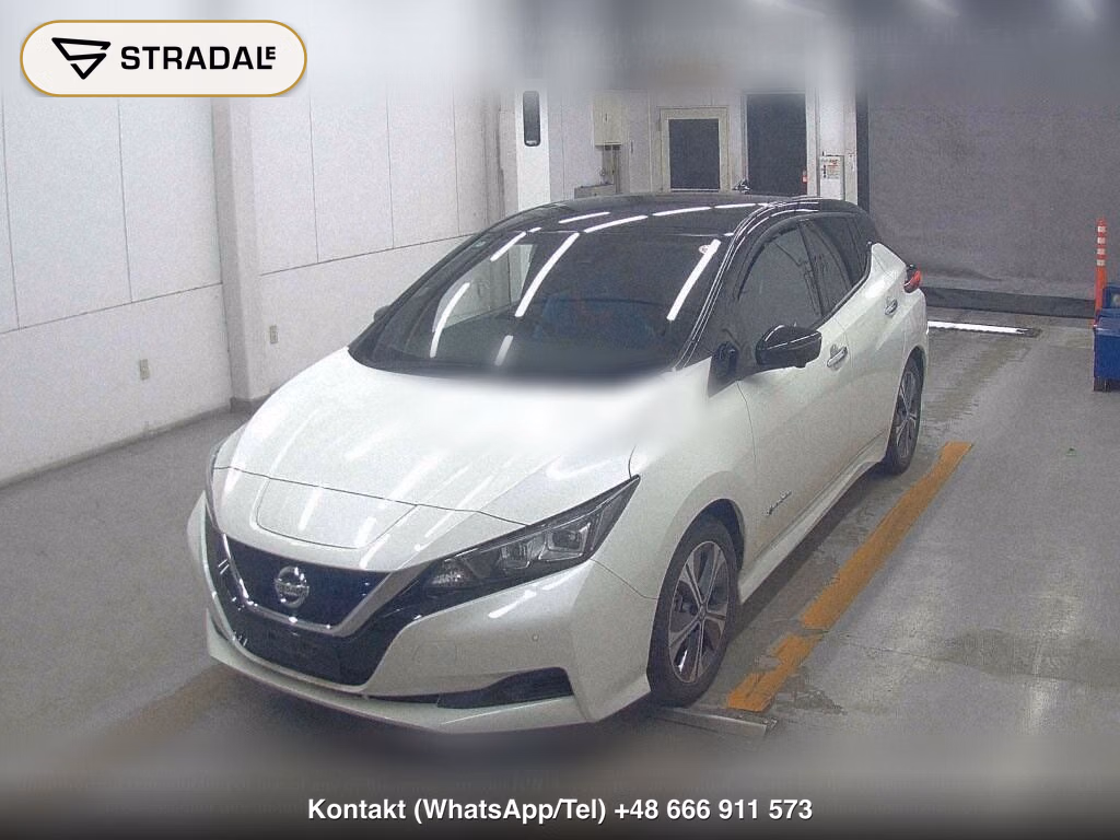 NISSAN LEAF X V SELECTION, miniaturka 5