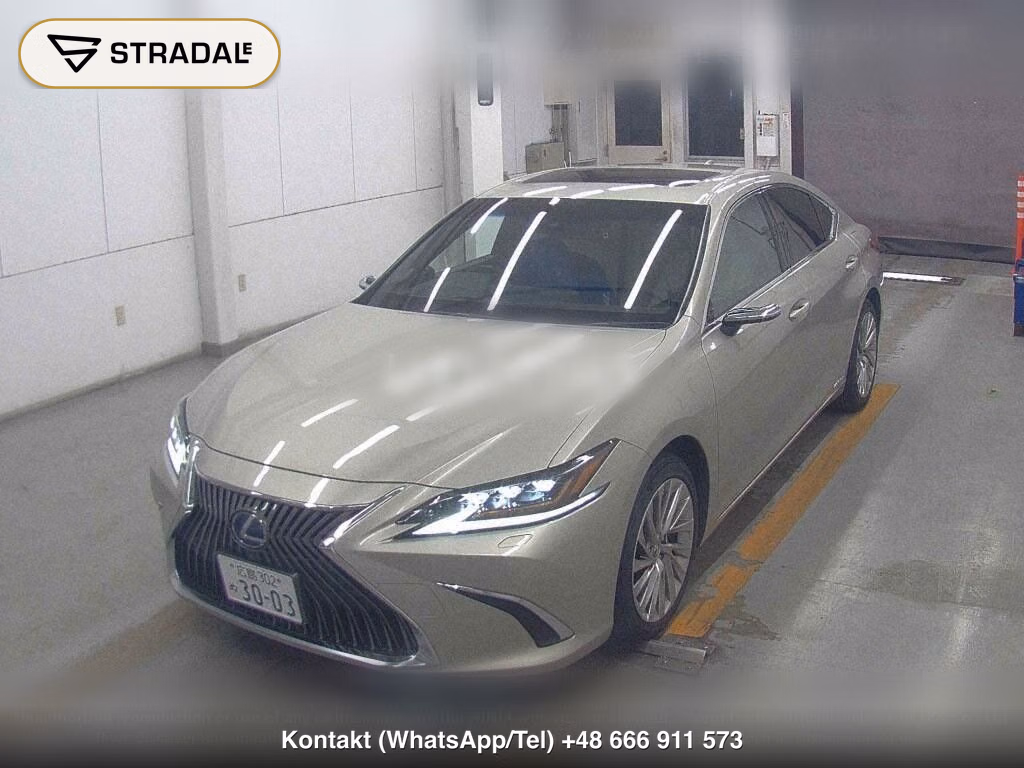 LEXUS ES ES300H VERSION L, miniaturka 5