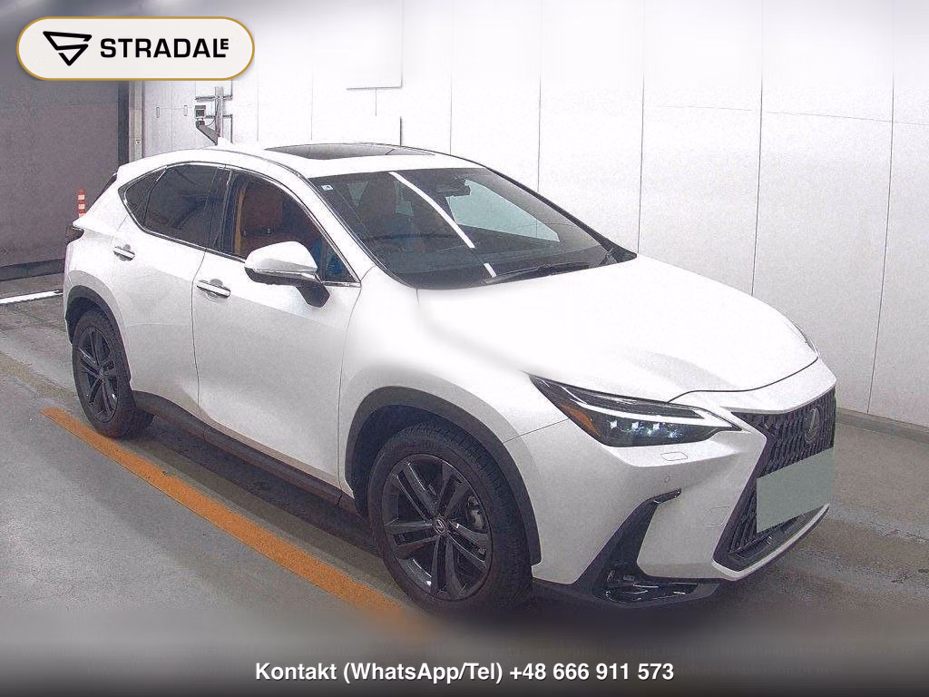 LEXUS NX NX250 VERSION L, miniaturka 2