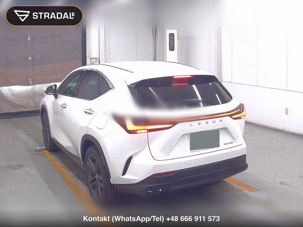 LEXUS NX NX250 VERSION L, miniaturka 3