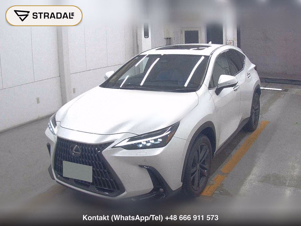 LEXUS NX NX250 VERSION L, miniaturka 5