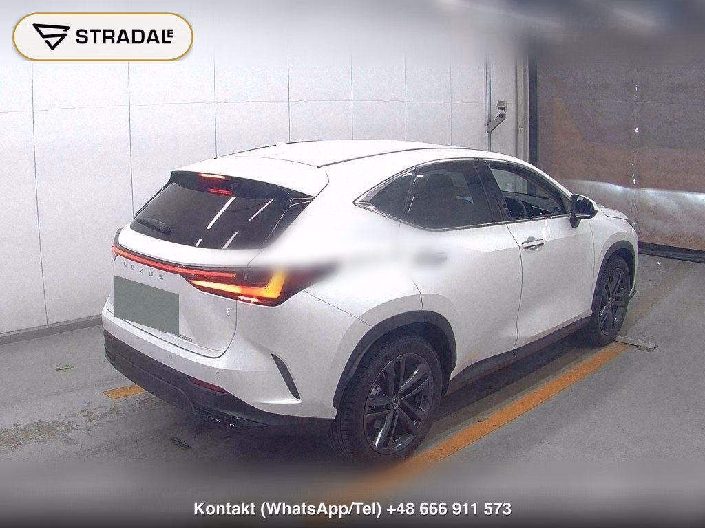 LEXUS NX NX250 VERSION L, miniaturka 6