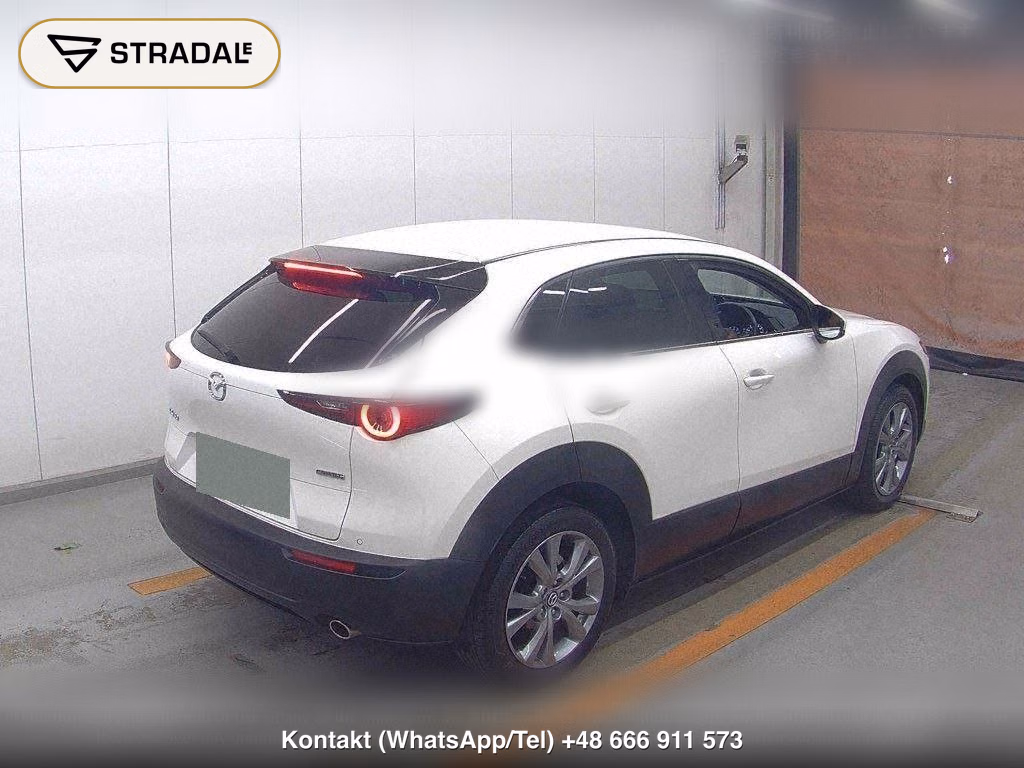 MAZDA CX-30 20S PROACTIVE TOURING SELECTION, miniaturka 6