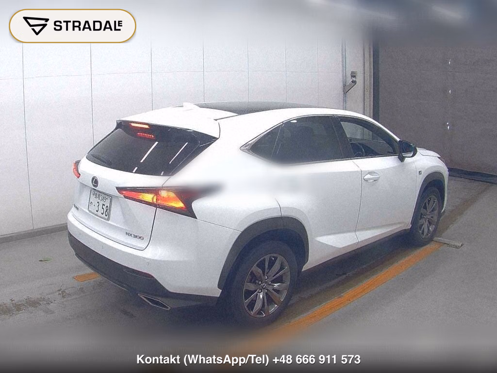 LEXUS NX NX300 F SPORT, miniaturka 6