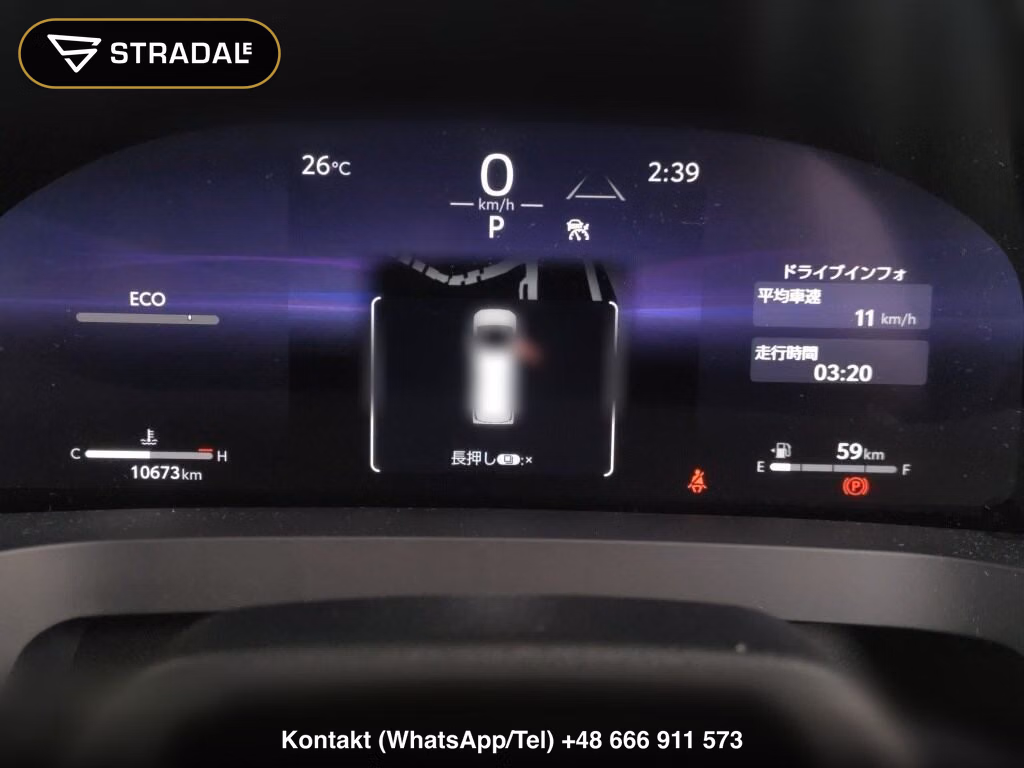 TOYOTA ALPHARD Z, miniaturka 7