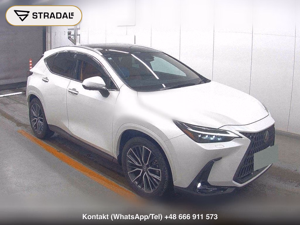 LEXUS NX NX250 VERSION L, miniaturka 2