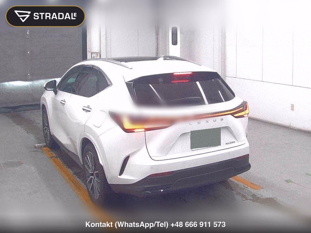 LEXUS NX NX250 VERSION L, miniaturka 3