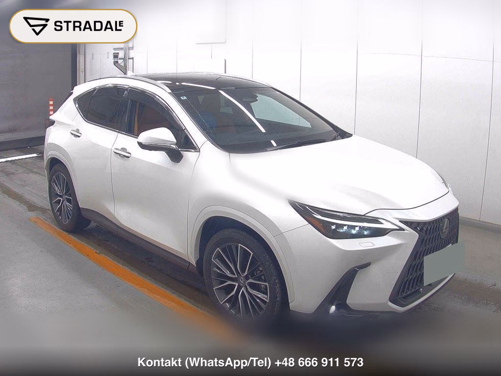 LEXUS NX NX250 VERSION L 2024, aukcja z Japonii, zdjęcie 1