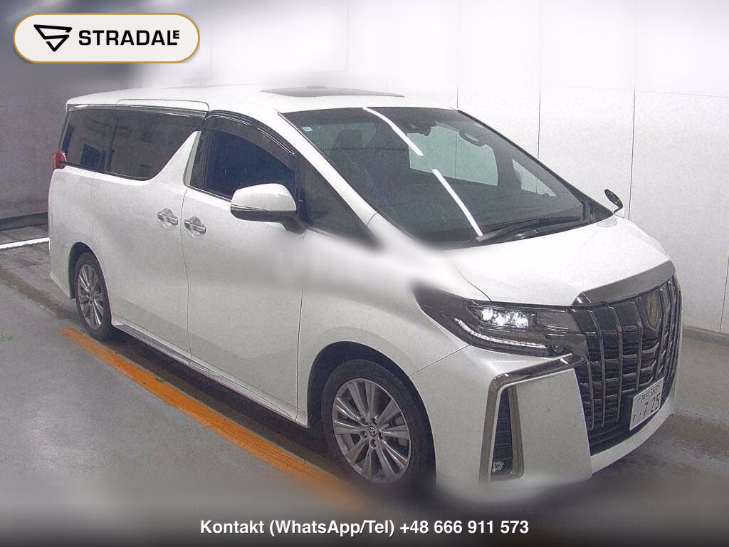 TOYOTA ALPHARD S TYPE GOLDⅢ, miniaturka 2