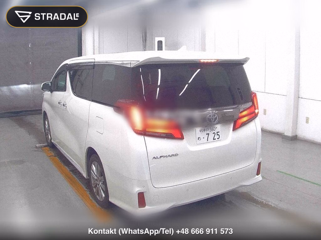 TOYOTA ALPHARD S TYPE GOLDⅢ, miniaturka 3