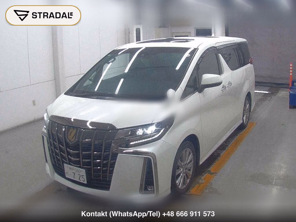 TOYOTA ALPHARD S TYPE GOLDⅢ, miniaturka 5