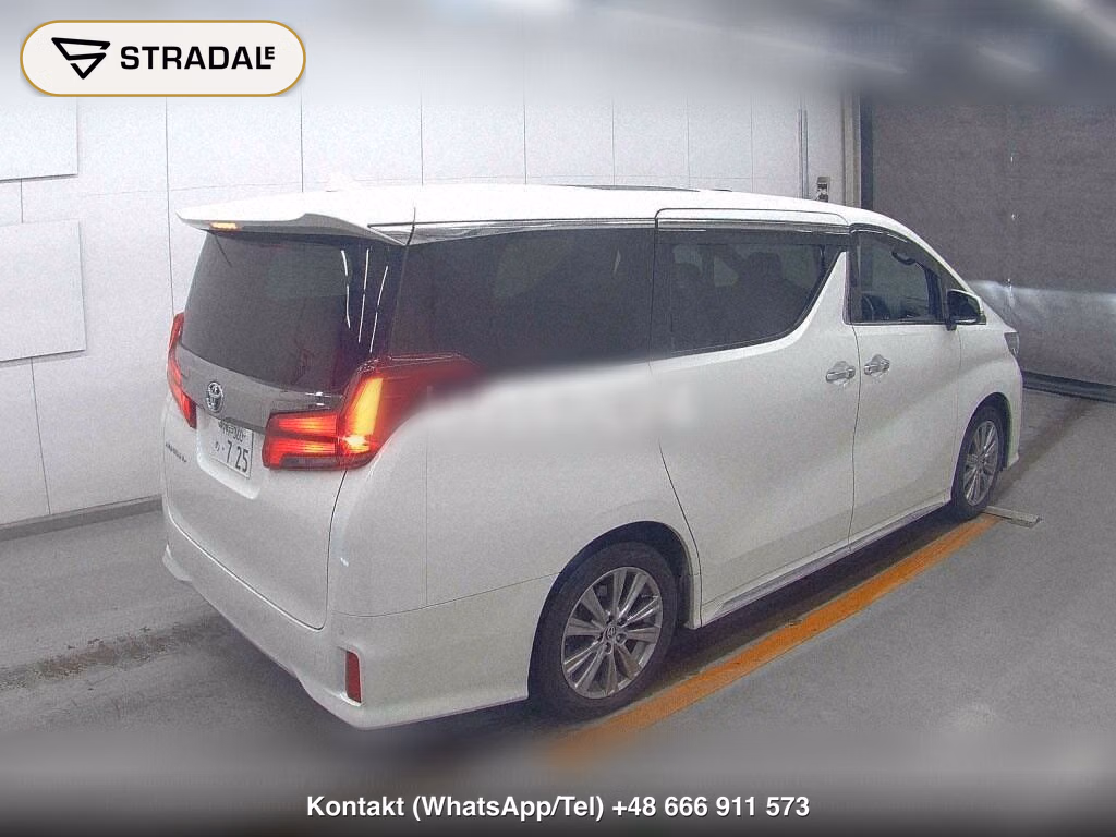 TOYOTA ALPHARD S TYPE GOLDⅢ, miniaturka 6