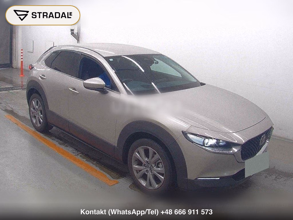 MAZDA CX-30 20S PROACTIVE TOURING SELECTION, miniaturka 2
